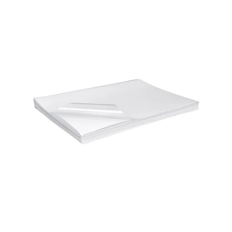 ADHESIVO VINIL TRANSPARENTE 70 X 100 RITRAMA -