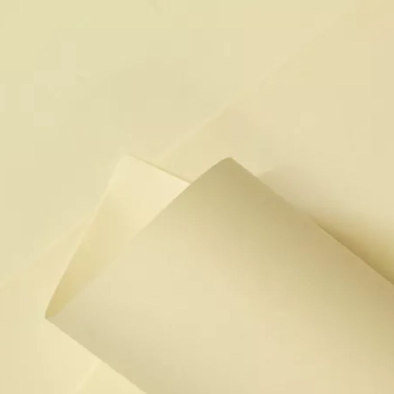 PAPEL BOND AVENA 80 GR 61 X 86 - CHAMBRILL